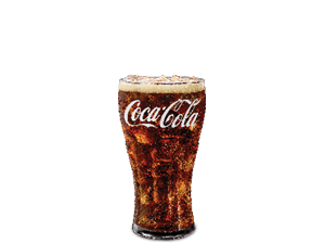 Coca Cola 16oz